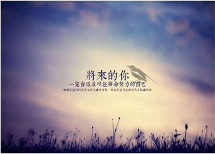武汉大学考研资讯